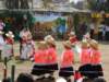 dsc05177_small.jpg