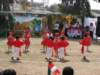 dsc05184_small.jpg